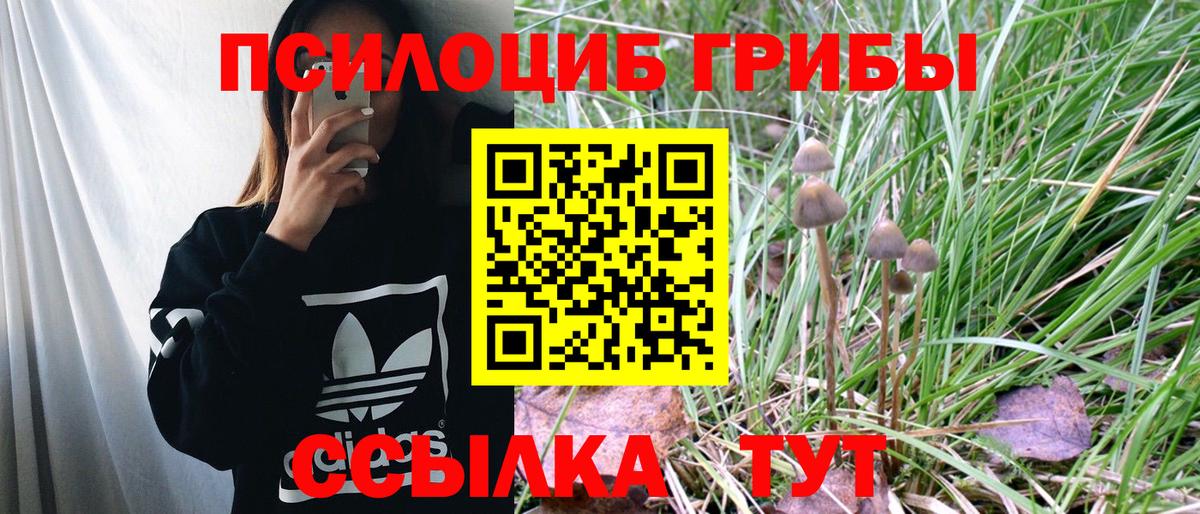 Галлюциногенные грибы MAGIC MUSHROOMS Ижевск