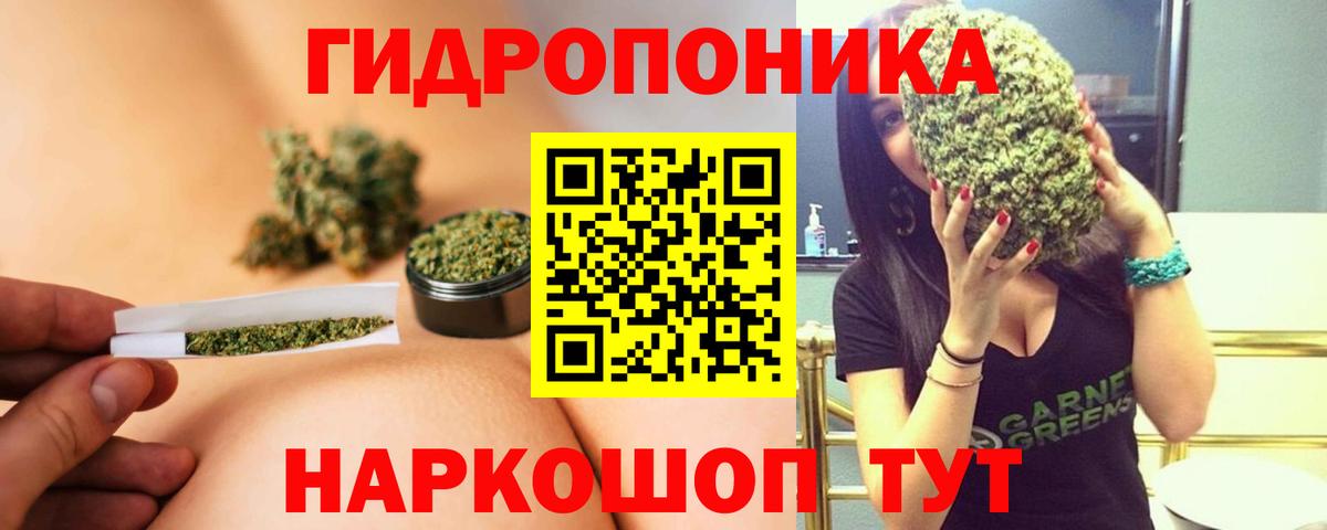Конопля SATIVA & INDICA  Бошки Шишки VHQ  Ижевск  Вход с VPN 